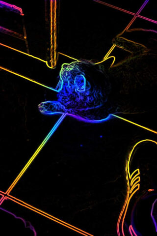 Neon Dreams: The Colorful Cat Adventure 🌈🐱