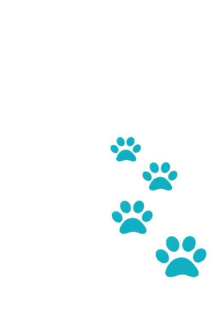 Paw Prints