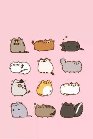 Pusheen