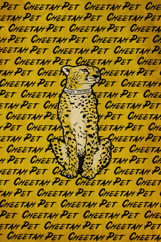 Cheetah Companion: The Wild Pet