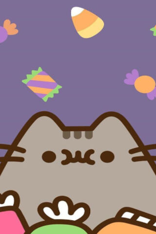 Pusheen's Sweet Treats Adventure 🍬🐾