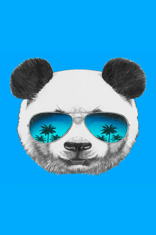 Chillin' Panda Vibes 🐼😎