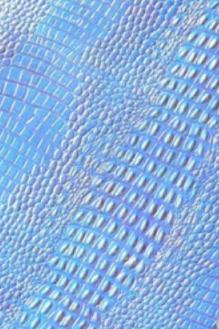 Mystical Patterns of the Serpent