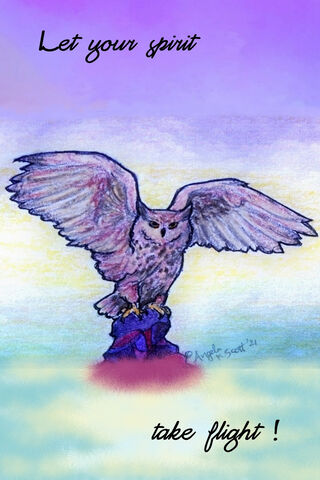 Soar with the Spirit Owl 🌌🦉