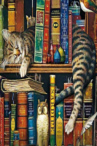 Cozy Catnap Among the Classics 💤📚