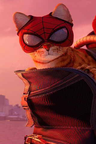 Web-Slinging Feline Adv..