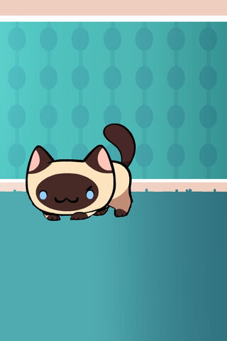 Siamese Charm: The Playful Purrfection 🐾