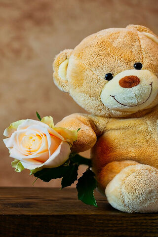 A Sweet Gesture: Teddy Bear with a Rose 🌹