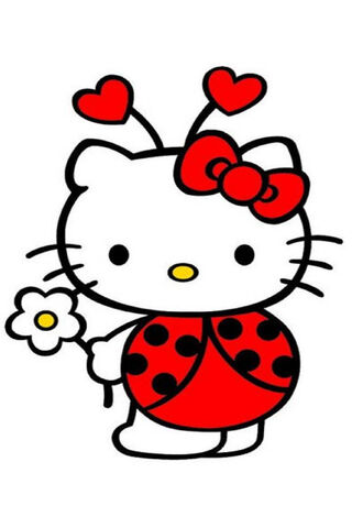 lady bug hello kitty