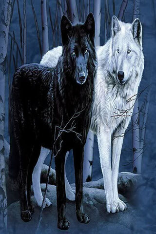 Mystical Companions of the Night 🌙🐺