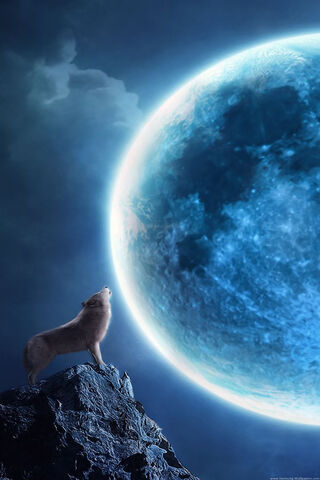 Lunar Serenade: The Howl of the Night