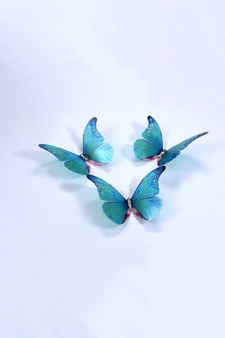 Whimsical Wings: A Danc..