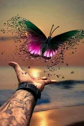 Embrace Your Freedom 🌅🦋
