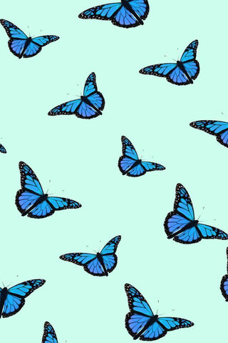 Aqua Blue Butterfly Wallpaper - Download to your mobile from PHONEKY