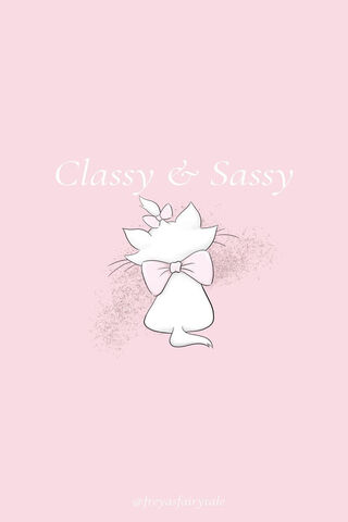 Chic Whiskers: A Classy Cat Vibe 🐾✨