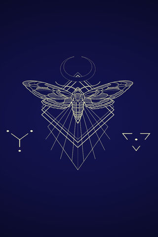 Celestial Wings: The Enigmatic Butterfly Moth