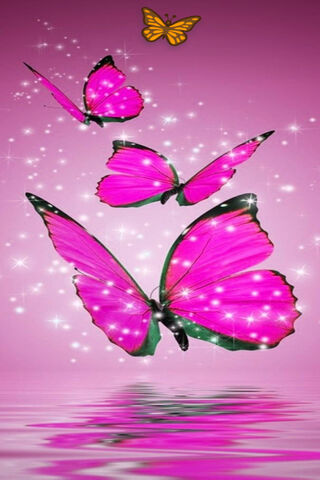 Butterflys