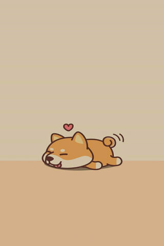 Adorable Shiba Snooze 🐾💤