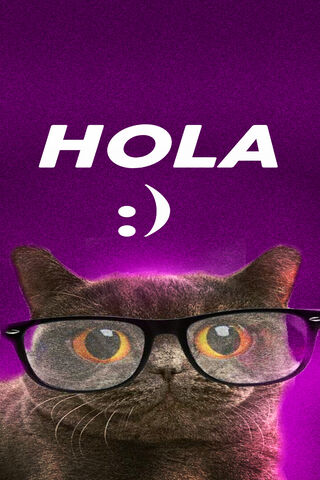 Cool Cat Says Hola! 😺✨