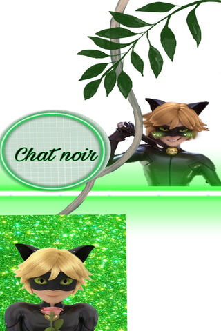 Mystical Adventures of Chat Noir 🐾✨