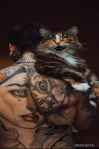 Feline Friends: A Purrfect Bond 🐾❤️