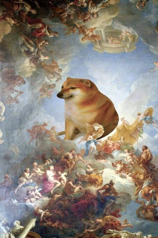 Chems: The Celestial Canine 🌌🐶