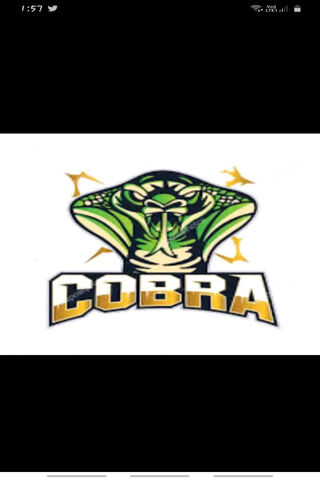 Cobra Strike: The Venomous Emblem of Power 🐍⚡