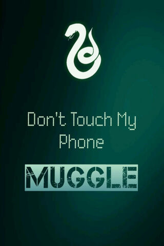 Don't touch muggle