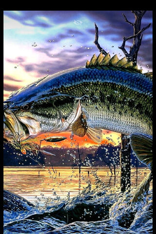 Catch of the Day: A Fisherman's Dream 🎣🌅