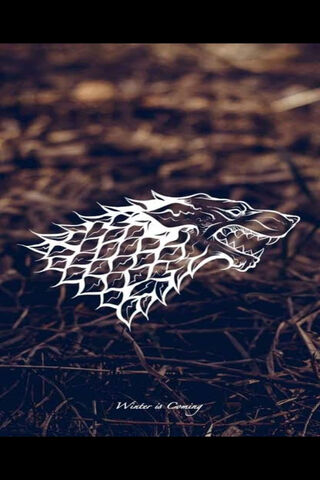 Winter is Coming: The Stark Legacy ❄️🐺