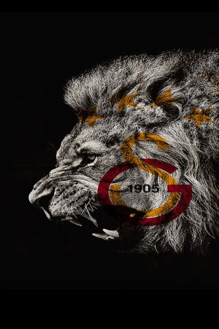 Roaring Pride of Galatasaray 🦁✨
