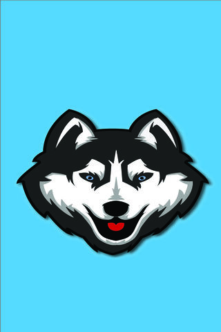 Husky Charm: The Playful Pup 🐾