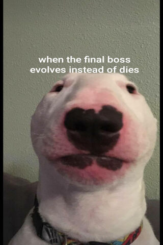 When the Boss Levels Up! 🎮🐶