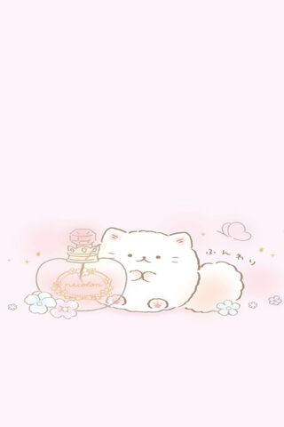Adorable Chubby Kitty in a Dreamy World 🌸🐱