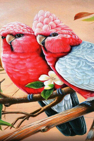 Together in Harmony: The Love Birds