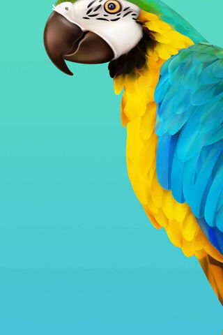Vibrant Feathers: The N..