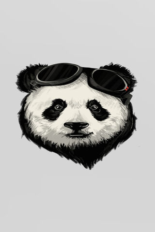 Panda in Shades: The Coolest Bear Around! 🐼😎
