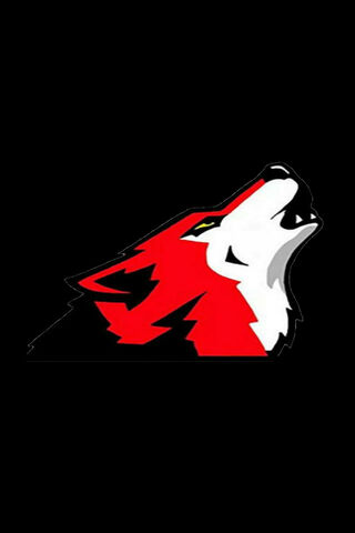 Fierce Spirit of the Red Wolves 🐺❤️