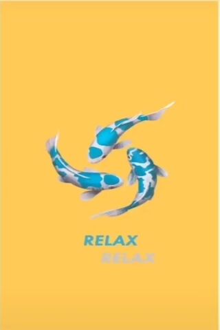 Tranquil Waters: The Relaxing Dance of Fish 🐟💛
