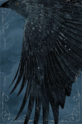 Wings of Shadows: The Call of the Crows
