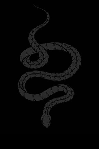 The Serpent's Shadow 🐍✨
