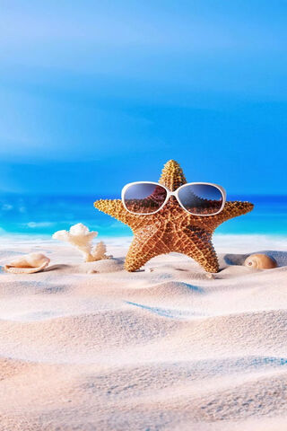 Sunny Days with Starfish 🌊✨