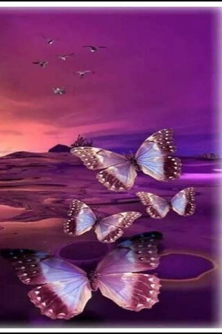 Whispers of the Twilight Wings 🌌🦋