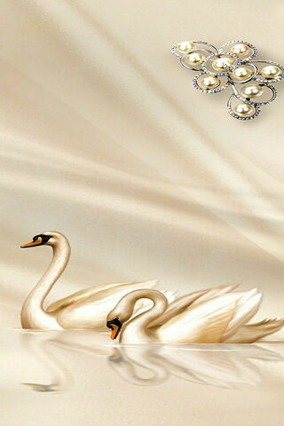 Elegance on Water: The Graceful Swans