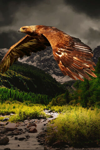 Majestic Flight: The Spirit of the Wild 🦅🌲