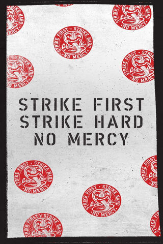 Cobra Kai: The Way of the Warrior 🐍🥋
