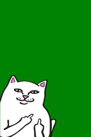 Ripndip's Sassy Cat Vibes 🐱💚