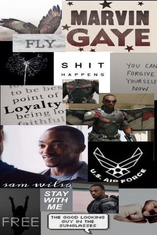 Sam Wilson THE FALCON