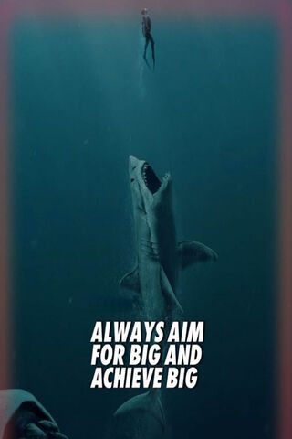 Dare to Dream Big! 🌊🦈