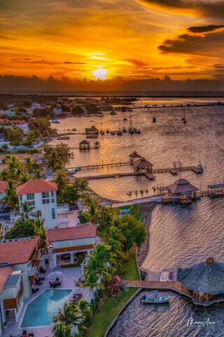 Sunset Serenity: A Tropical Escape 🌅🏝️